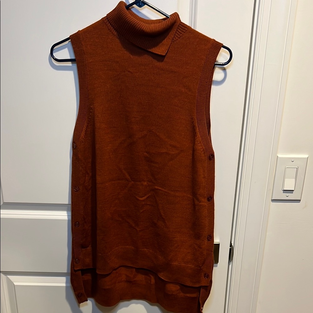 The Limited Burnt Orange Knit Sweater Tunic